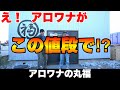 アロワナの丸福【後編】激安紅龍や金龍がいるアロワナショップ訪問してきたよ！