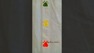 cat paw painting | Fabric Painting #shorts #shortsvideo #viral #cat #dog #painting