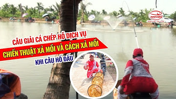 Câu giải cá chép hồ dịch vụ - Chiến thuật xả mồi và cách xả mồi khi câu hố đấu