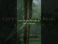 The Pre-Bedtime Reset | Theta Waves + Gentle Rain | 45 Seconds #shorts #binauralbeats