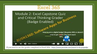 Module 2: Excel Critical Thinking Grader and Quiz screenshot 1