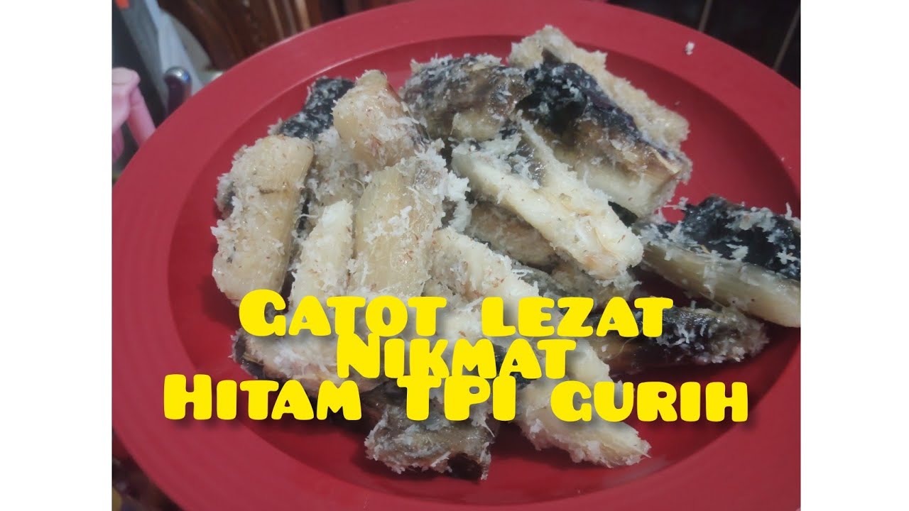 CARA MEMASAK GATOT YG ENAK DAN MUDAH YouTube