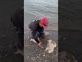 Pescando en Willard bay Utah