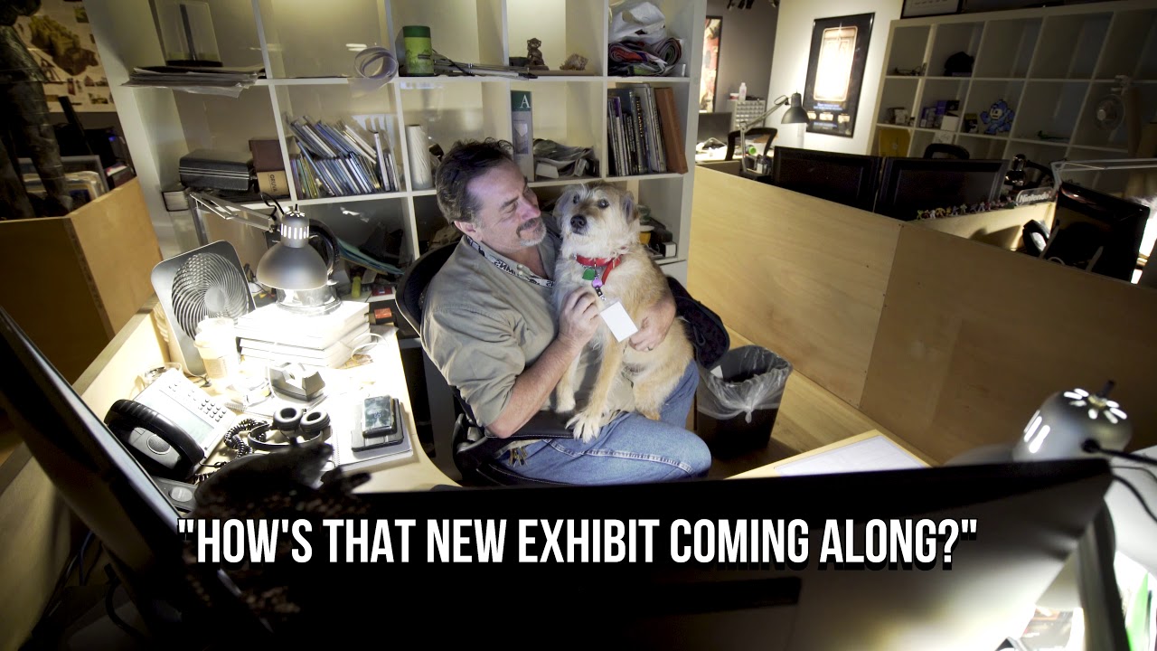 museums in london Giving Tuesday: Daisy The Dog