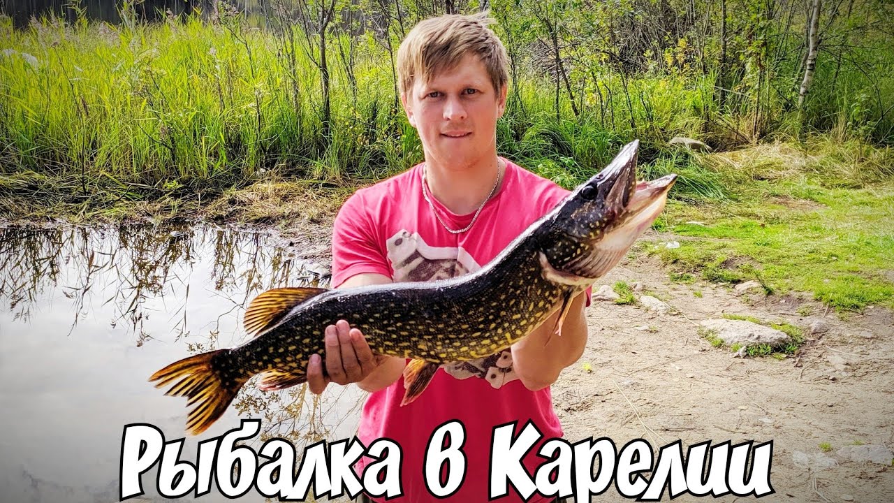 ���� ������ �� �������� �� ����� ����� - 6