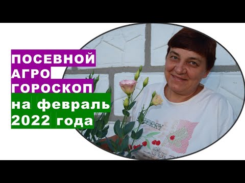 Видео: Луксозен мезонет, построен на върха на ски скок