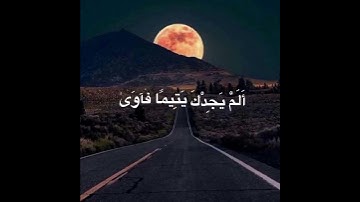 سورة الضحى - القارئ أحمد العلي