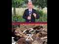 لە بازگەیەكی سۆران چەندین جوانەگا لە نێو بارێك بە مرداربوویی دۆزرانەوە