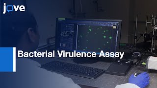Rapid Image-Based Bacterial Virulence Assay Using Amoeba l Protocol Preview