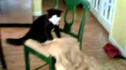 VID 00001-20110116-1...