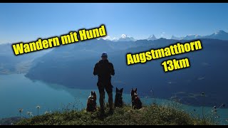 Wandern mit Hund - Augsmatthorn by cocoshunter99 156 views 2 years ago 6 minutes, 8 seconds