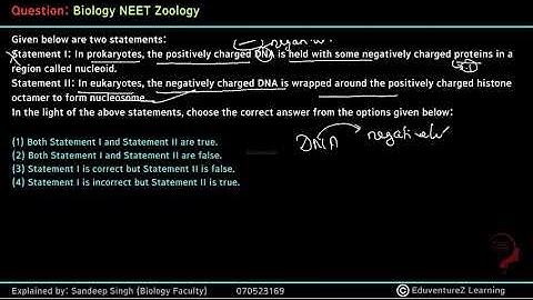Given below are two statements:Statement I: In prokaryotes, the positively charged DNA is held with