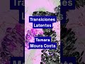 📣 p5.js 2.0 Artist Series Drop #2: Featuring Tamara Moura Costa