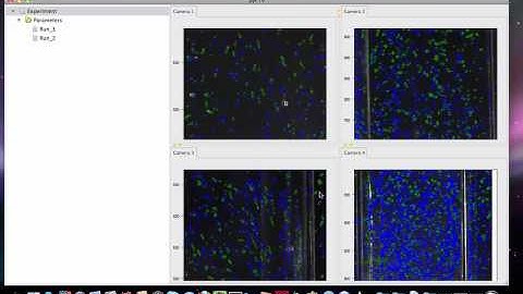 Screencast of the Python version of the open source particle tracking velocimetry