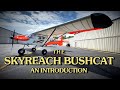 The Skyreach Bushcat: An Introduction