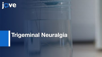 Trigeminal Neuralgia study in Chronic Constriction Injury of IoN-CCI | Protocol Preview