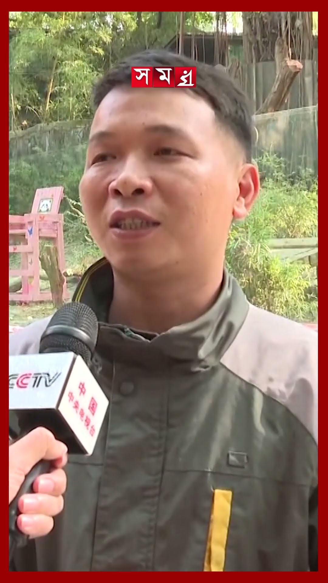 পান্ডার জীবনেও চীনা নববর্ষের ছোঁয়া #panda #chinanews #newyear #international #shorts #somoytv