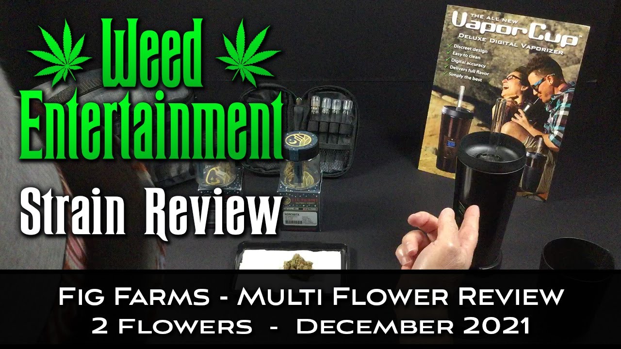 Fig Farms - Multi Flower Review - 2 Flowers - One Winner - December 2021