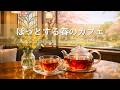 【春の癒しBGM】ほっとする春のカフェ🌿 やさしい陽だまりと紅茶で「心整う」穏やかな時間｜Relaxing Piano & Guitar 120min｜リラックス・読書・勉強・作業用音楽