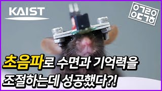 (KAIST 연구 X 안될과학) 초음파로 수면과 기억력까지 조절한다?!