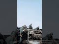 The 7th Panzer Division Slowed Down In France!