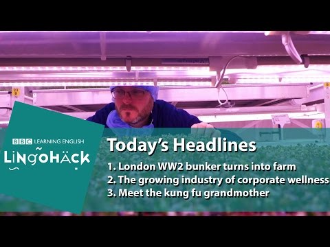 learning english for beginners Learn words from the news: upside, catching their breath, dexterity