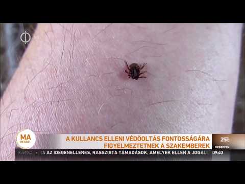 Videó: Kullancs által Okozott Encephalitis Elleni Oltások (oltási ütemezés)