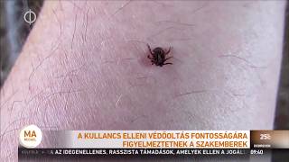 A Kullancs Elleni Védőoltás Fontosságára Figyelmeztetnek A Szakemberek M1 Ma Reggel 2018-05-30