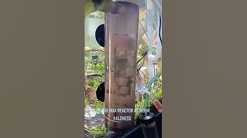 Thumbnail of Co2 Mix Max Reactor as MBBR Kaldness