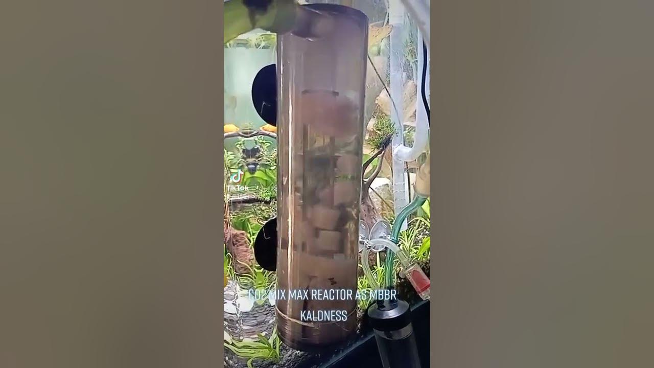 Co2 Mix Max Reactor as MBBR Kaldness