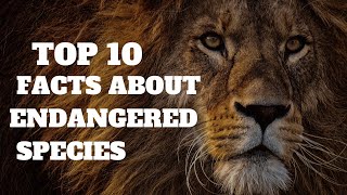 Top 10 facts about endangered species - YouTube