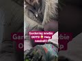 Gardening Newbie OOTD 😅😅😅| Help needed from experienced gardeners 🤪