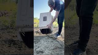 Stubborn Iguana Refuses to Go Home #animals