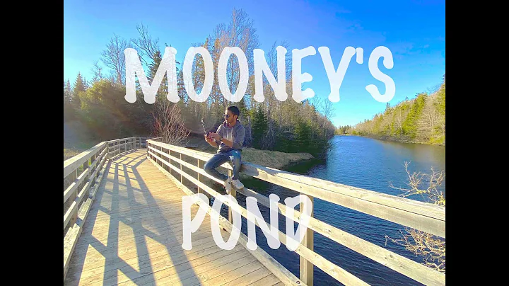 MOONEY'S POND | PEGGY'S TRAILS PEI | CANADA