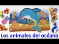 Los animales del océano para niños. Rompecabezas para bebés. Dibujos animados infantiles en español