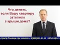 Залило квартиру с крыши, что делать. Как взыскать ущерб с ЖКХ за протечку? И добиться ремонта крыши!