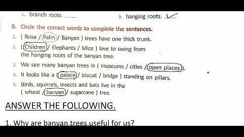 Std 2 English revision