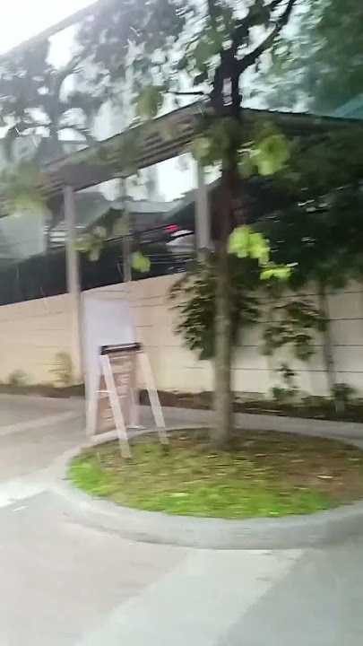#heavyrain #2025 #raining #rain #youtubeshort #shortvideo