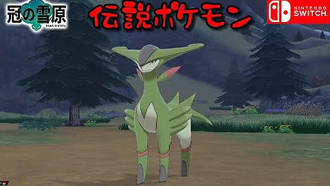 ポケモン剣盾そうげんポケモン足跡