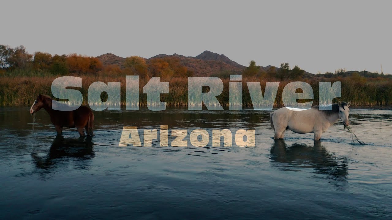 Arizona Salt River Wild Horses in 4K Ultra HD Aerial Drone Video During All Seasons of the Year