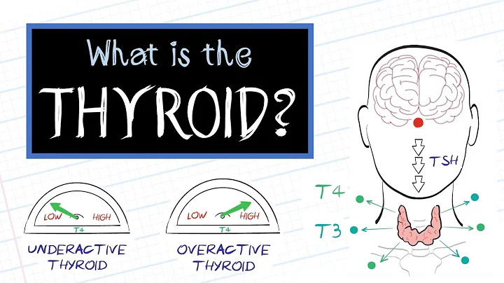 What is Thyroid Disease? (HealthSketch) - DayDayNews