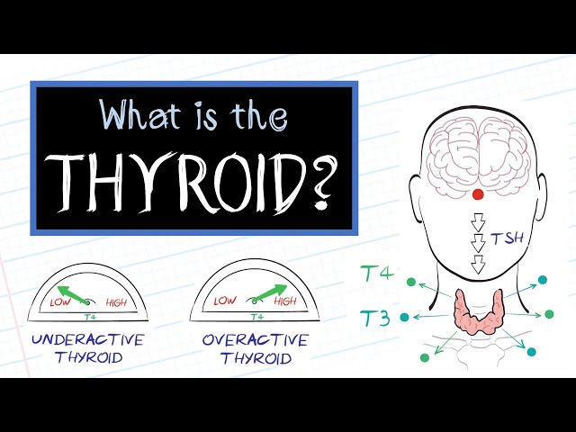 What is Thyroid Disease? (HealthSketch) class=