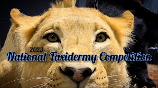 National Taxidermy Competition 2023 ~ Showroom Walkthrough