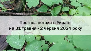 Прогноз погоди в Україні на 31 травня - 2 червня 2024 року