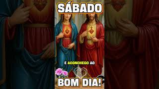 QUE DEUS ABENÇOE SEU DIA E ILUMINE SEUS PASSOS #canaljosérenatoferrazdasilveira #fypviral