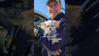 #880 Wait til you see what Gracie does at the end. I'm not crying, you're crying #frannieandthebeane