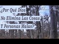 El Pino Que No Entendía Por Qué Existía El Fuego - Reflexión Que Cambiará Como Ves El Mundo