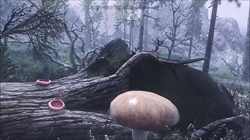 Wyrmstooth part 8: Someone with a Backbone - Part 2