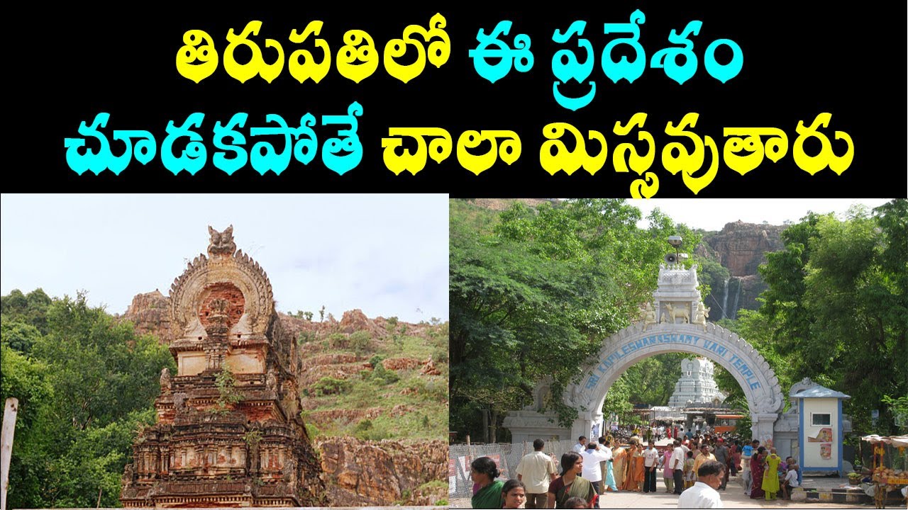 kapila teertham kapileswara swamy temple tirupati/tirupati temple/ancient shiva temple/water falls