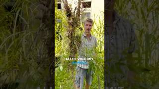 Was habe ich heute gelernt? NIE BAMBUS